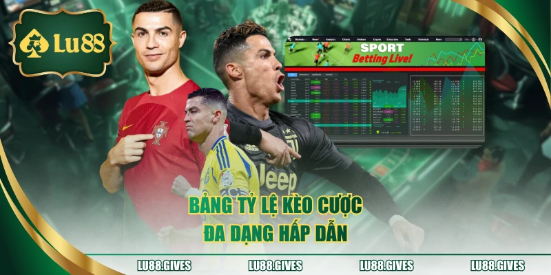 Bảng tỷ lệ kèo cược đa dạng hấp dẫn