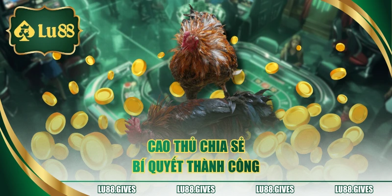Cao thủ chia sẻ bí quyết thành công